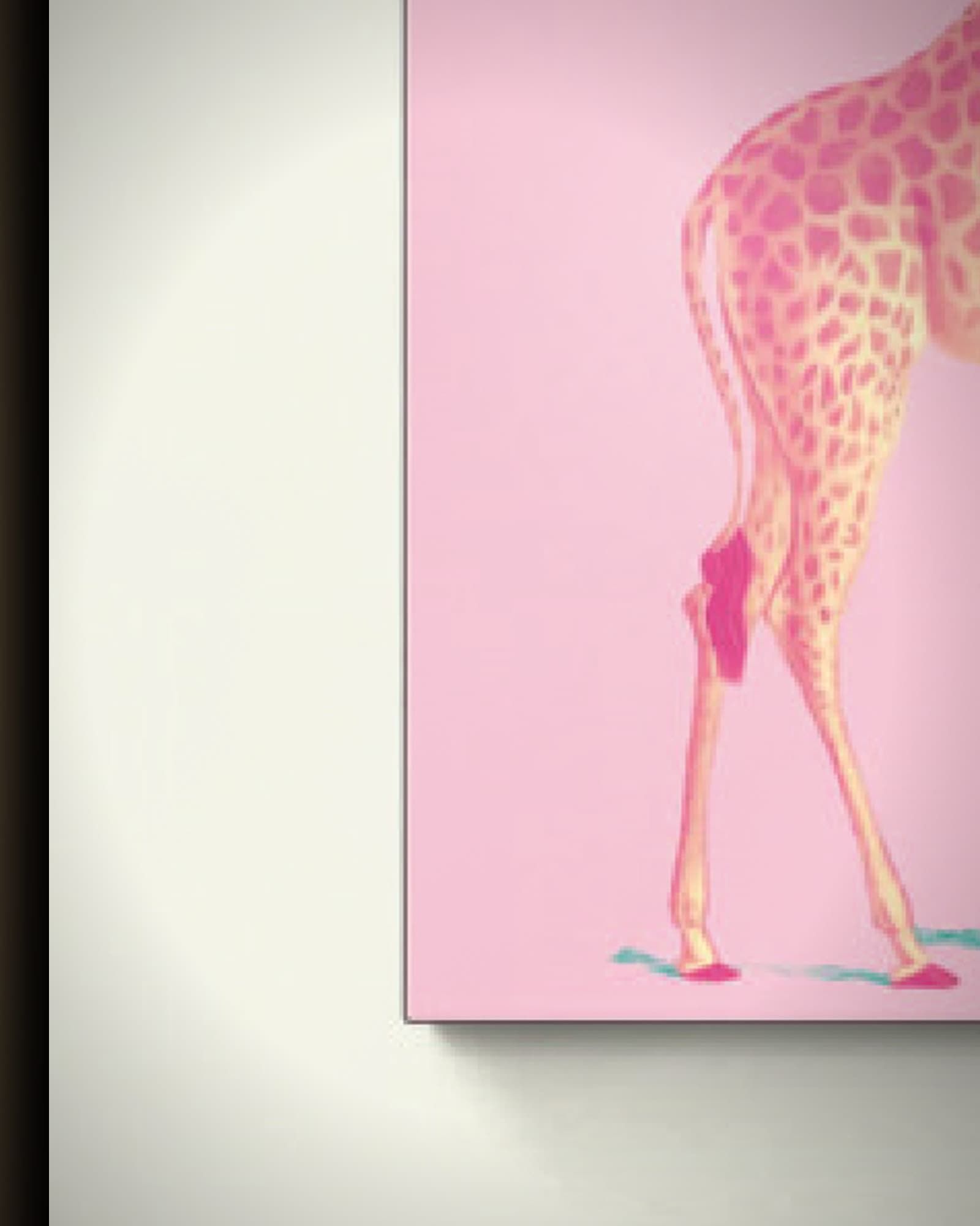 Materiaal en afwerking van Roze Giraffe in het frame