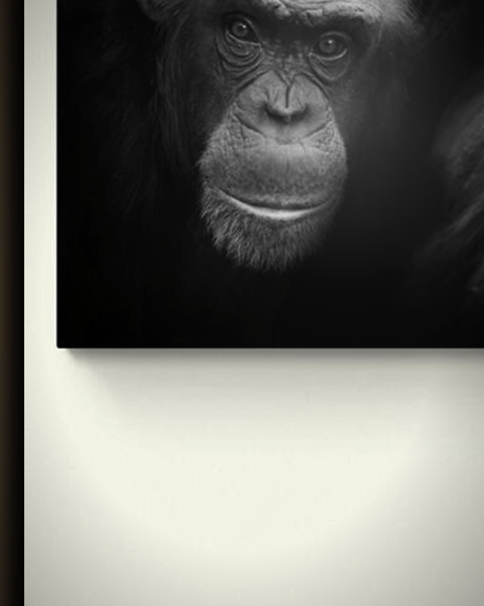 Materiaal en afwerking van Twee chimpansees in het wisselframe