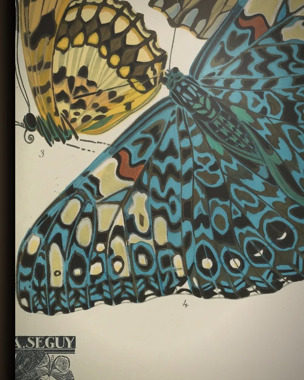 Materiaal en afwerking van Papillons Pl. 03 (1920) in het wisselframe