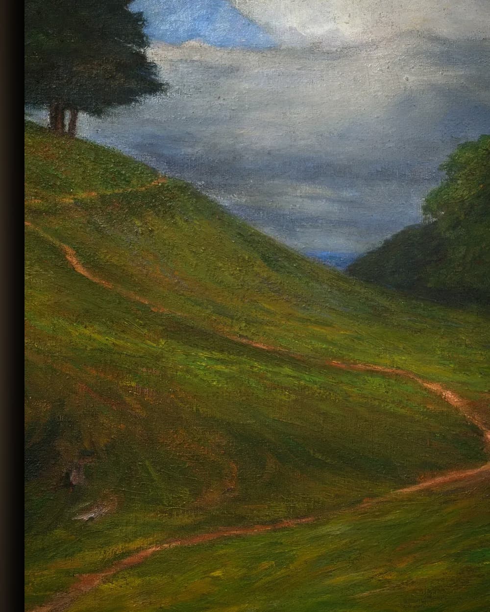 Materiaal en afwerking van De wolk (Molnet, 1896) in het wisselframe