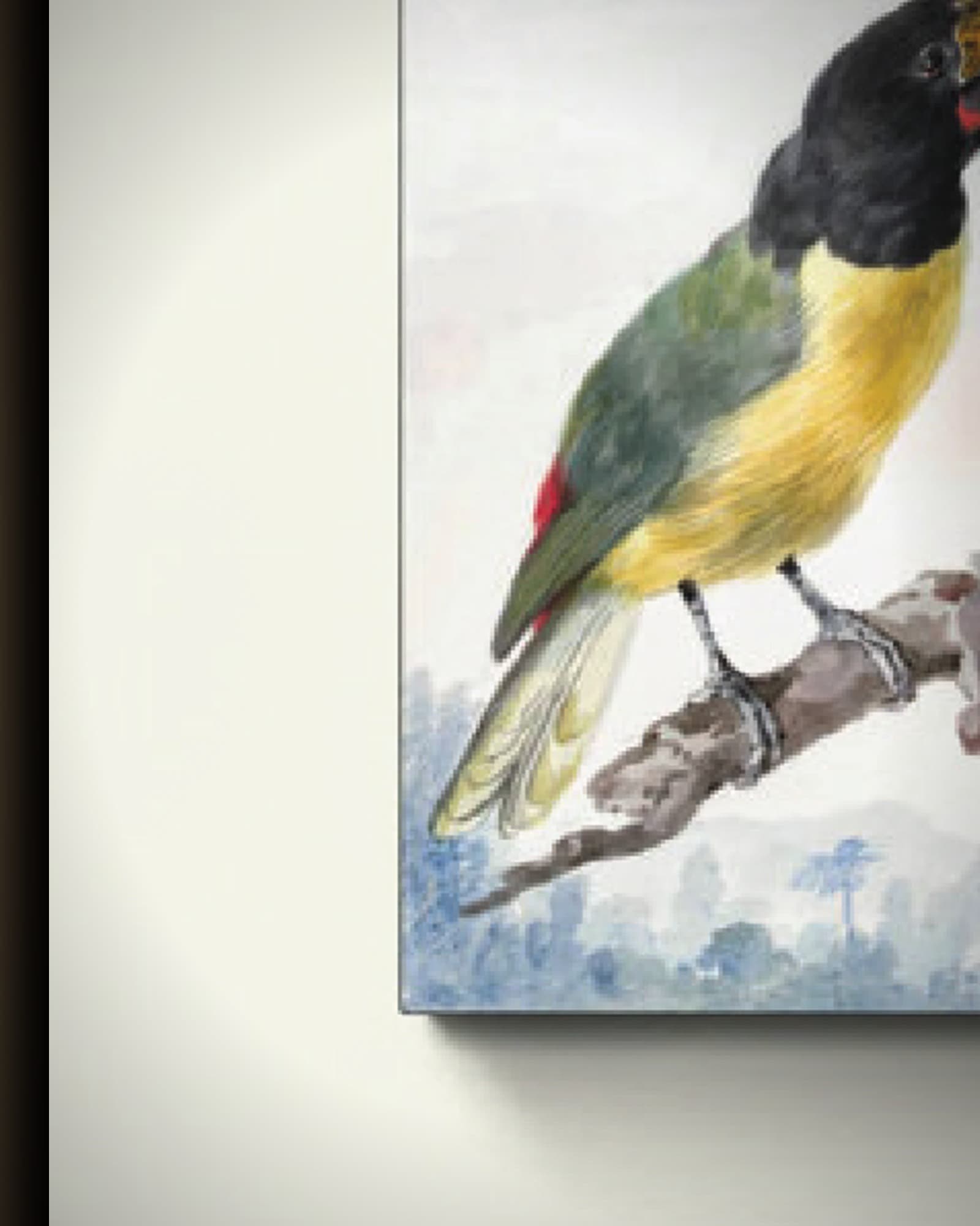 Materiaal en afwerking van Drie vogels: een ijsvogel, een toekan van prins von Wied en een mus in het wisselframe