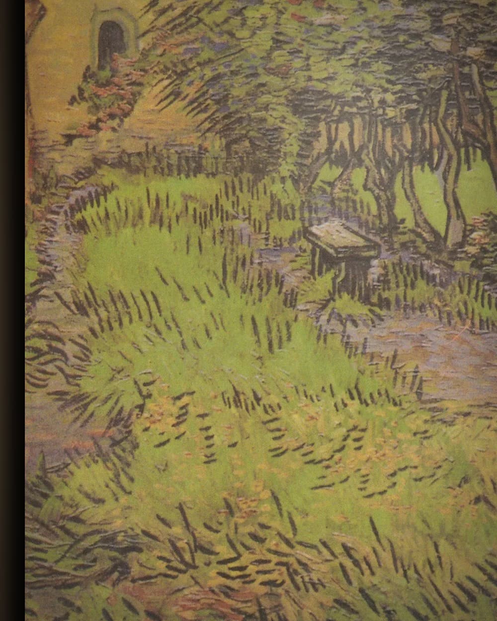 Materiaal en afwerking van Tuin van het hospitaal Saint-Paul in het wisselframe