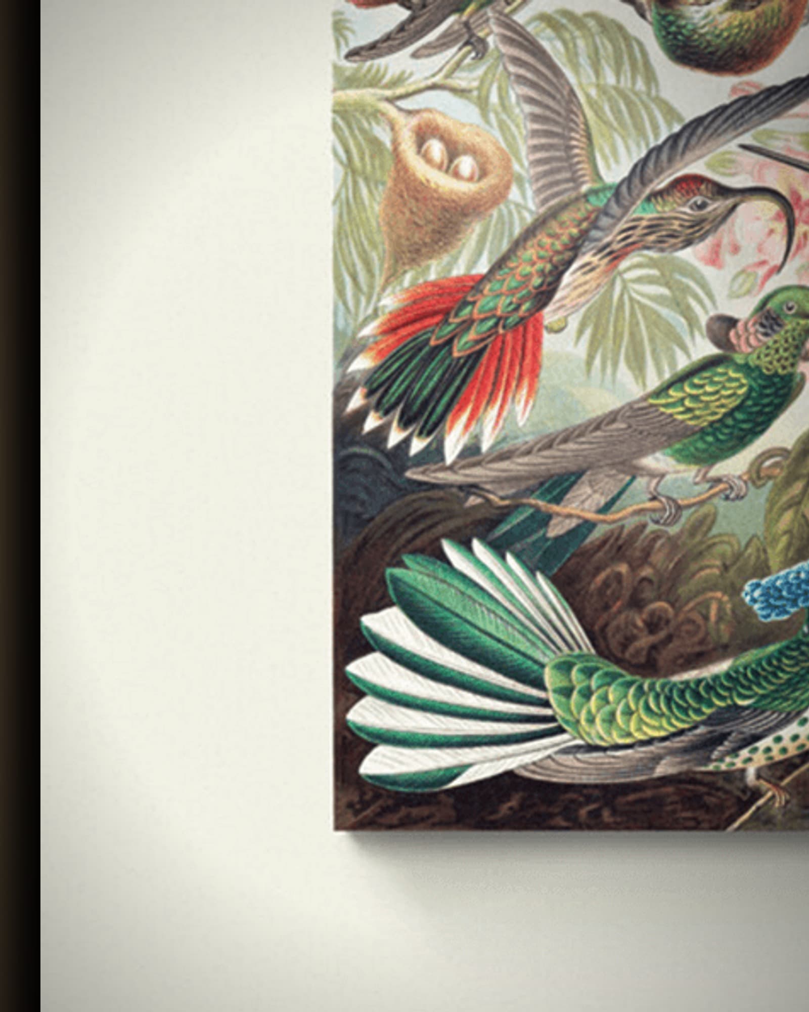 Materiaal en afwerking van Kolibris's Kunstformen der Natur in het wisselframe