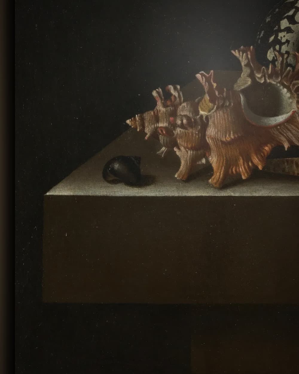 Materiaal en afwerking van Schelpen op een stenen plint in het wisselframe