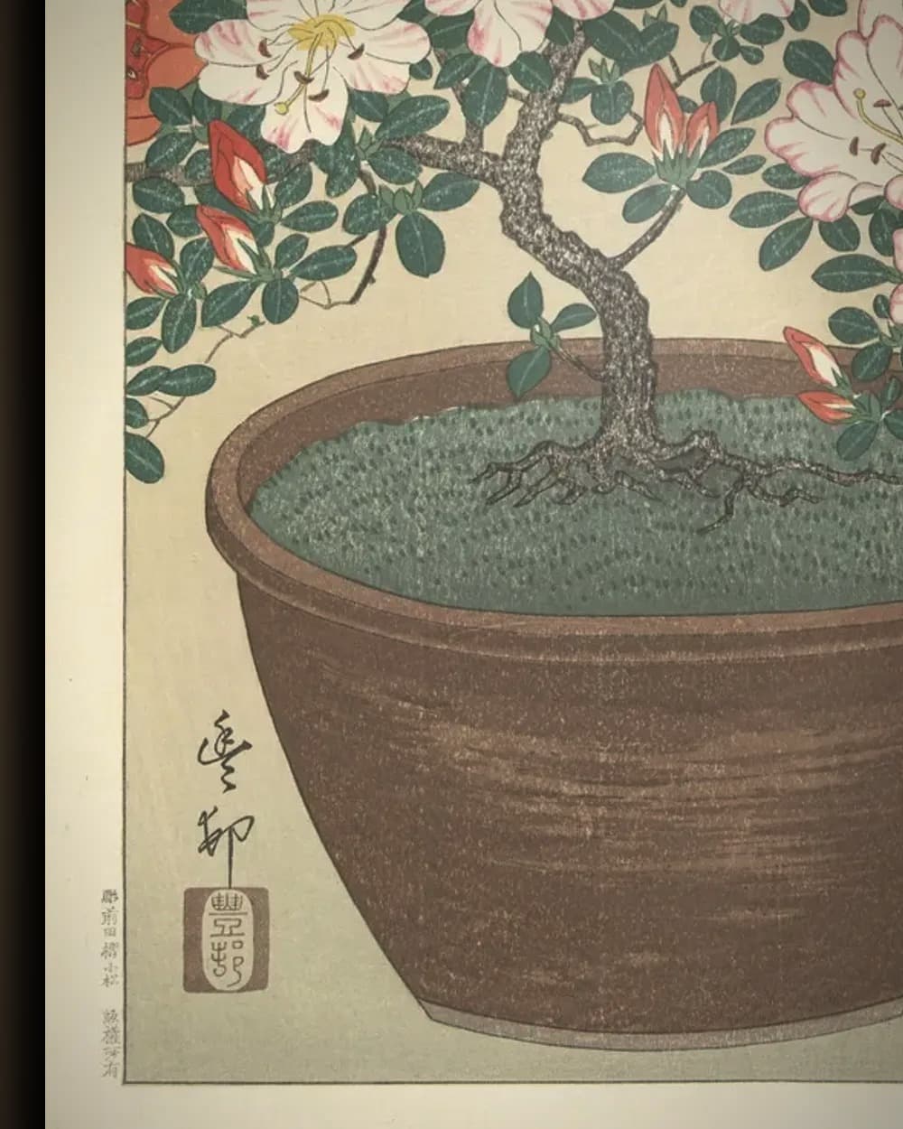 Materiaal en afwerking van Bloeiende azalea in bruine pot in het wisselframe