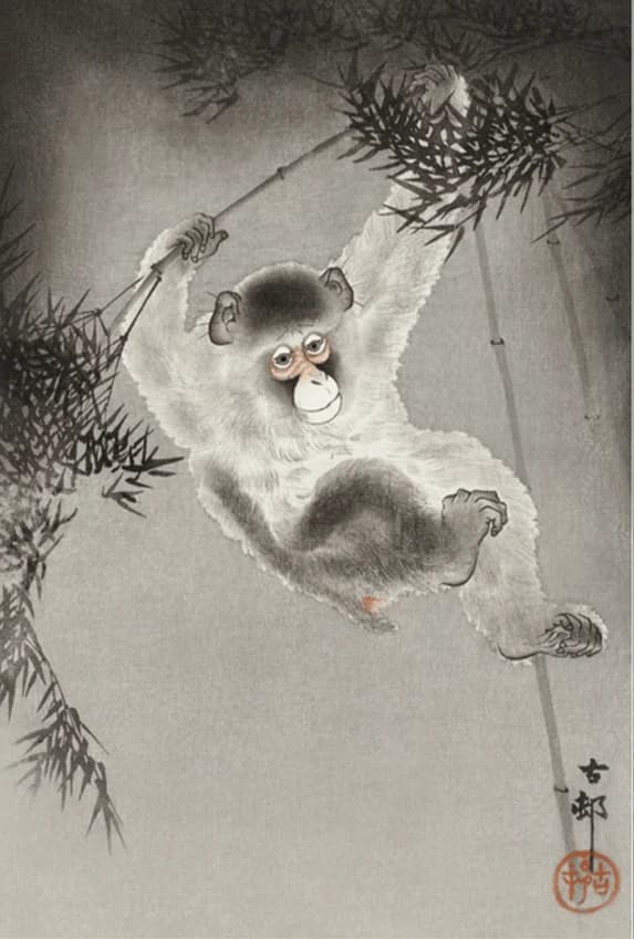 Aap, hangend aan bamboetak – Ohara Koson