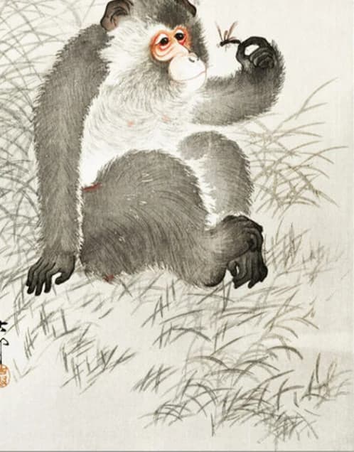 Aap met insect in z'n hand – Ohara Koson