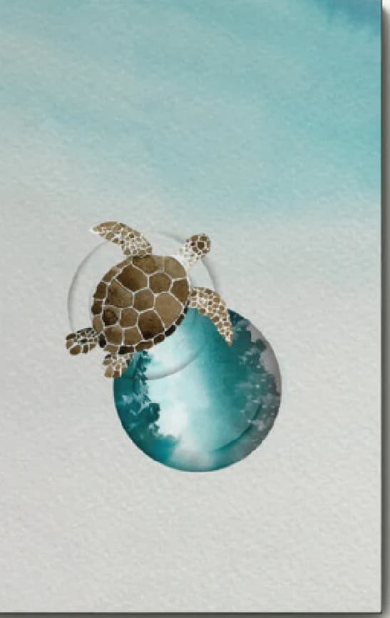 Blauwe schildpad