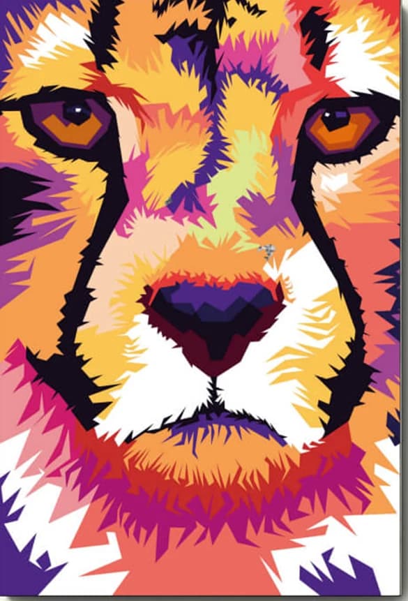 Cheetah