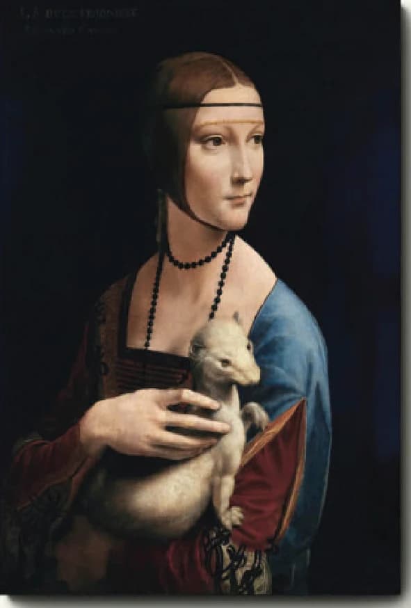 Dame met een Hermelijn – Leonardo da Vinci