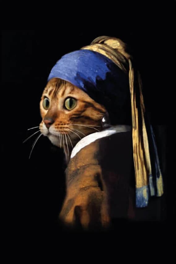 De kat met de parel – naar Vermeer