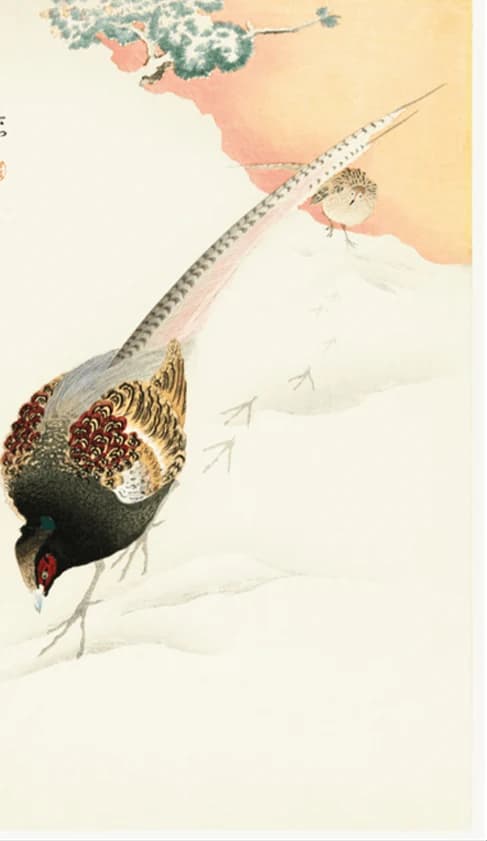 Fazant in de sneeuw – Ohara Koson