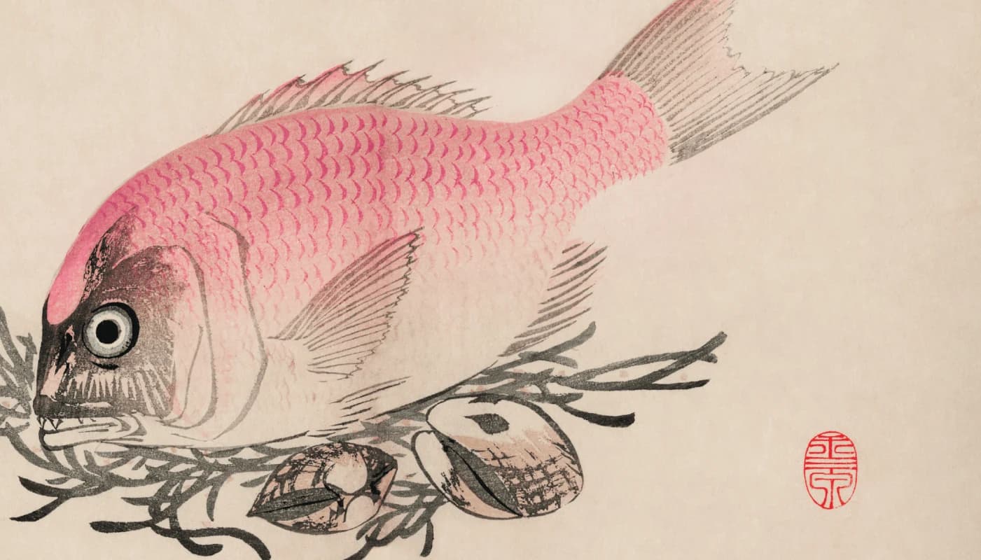 Fish illustration – Mochizuki Gyokusen