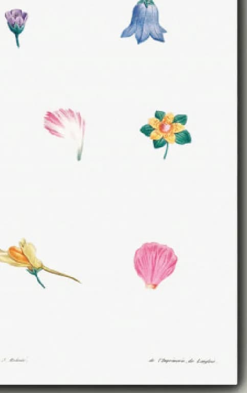 Bloemenset