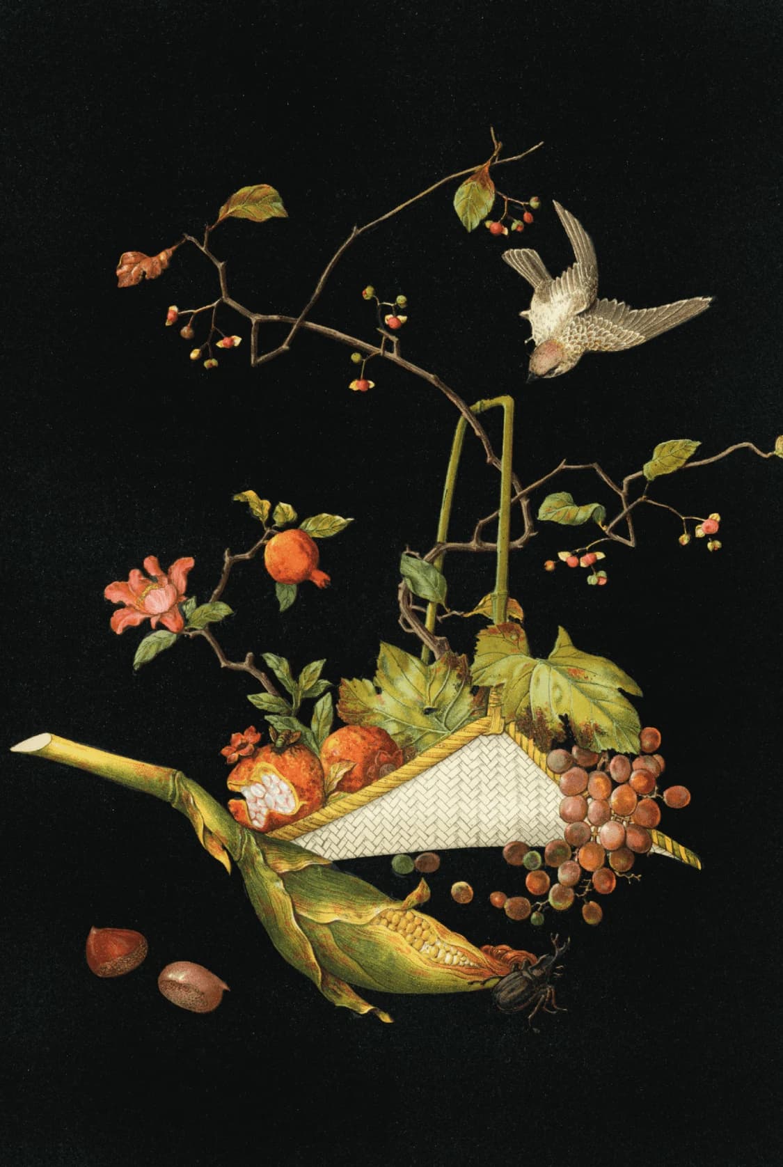 Fluistering van de Natuur: Stilleven Harmonie