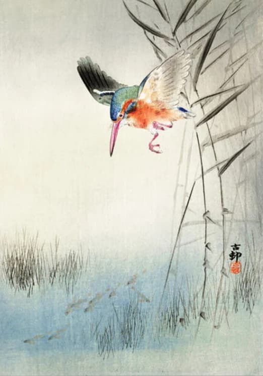 IJsvogel die op vis jaagt – Ohara Koson
