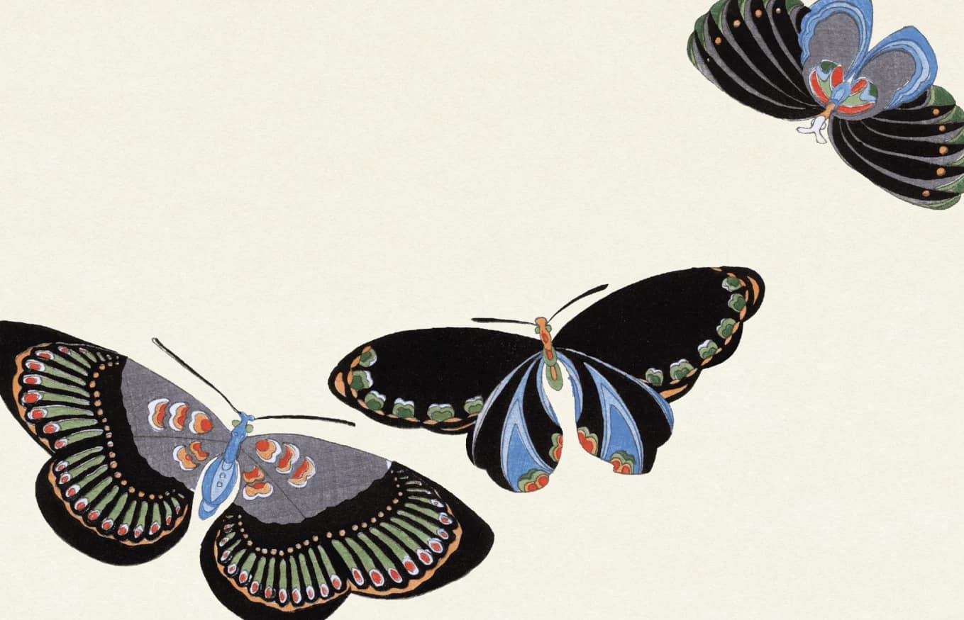 Japanese butterfly