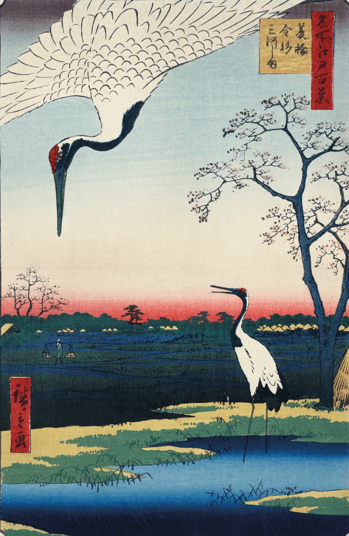 Japanse Kraanvogels