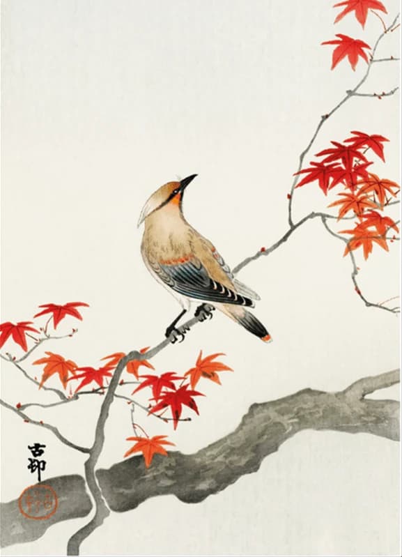 Japanse pestvogel op esdoorn – Ohara Koson