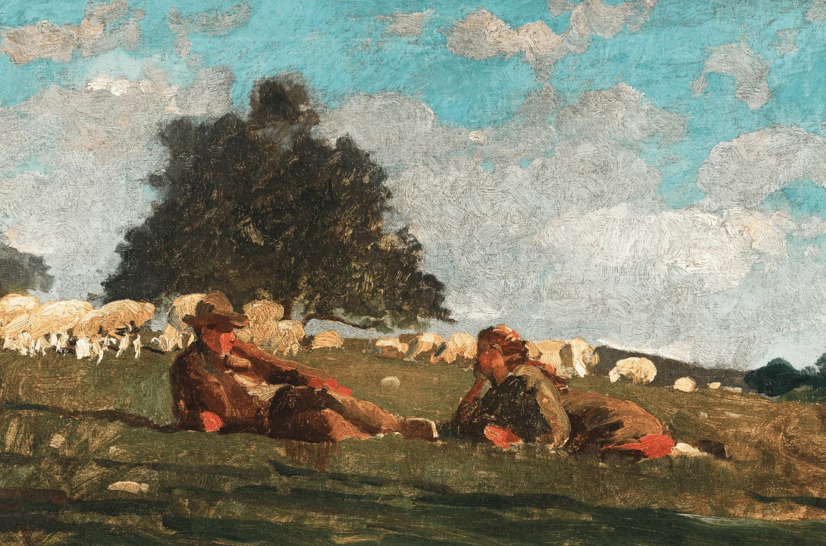 Jongen en meisje in het veld met een schaap