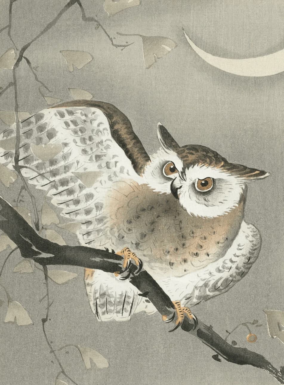 Long-eared Owl in Ginkgo – Ohara Koson