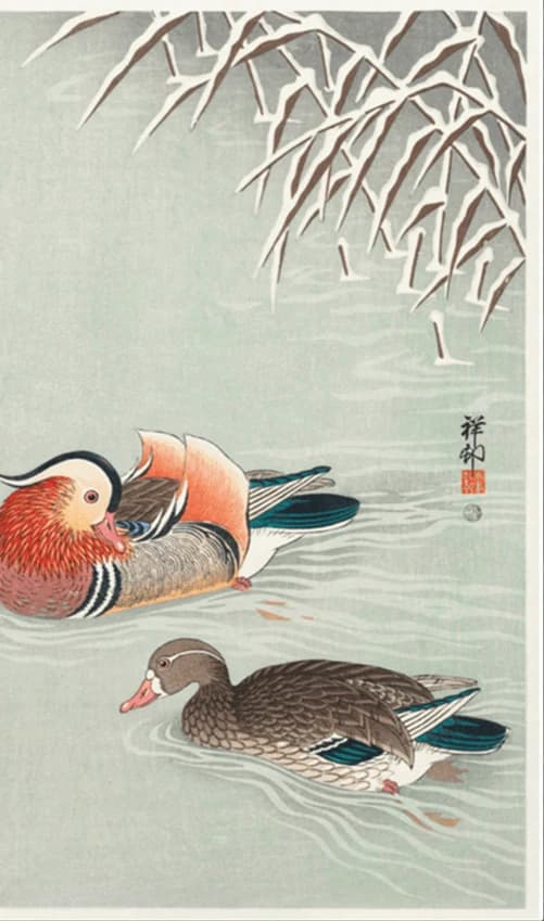 Mandarijnen eend – Ohara Koson