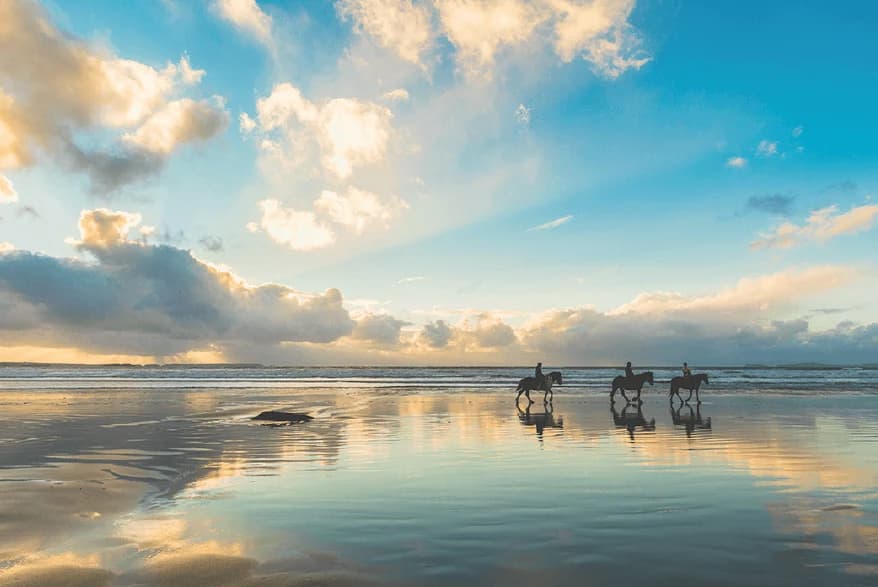 Paarden aan zee
