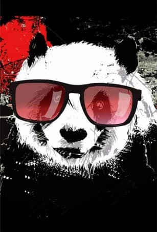 Panda met zonnebril