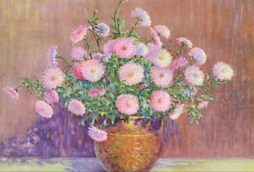 Pompon Chrysant