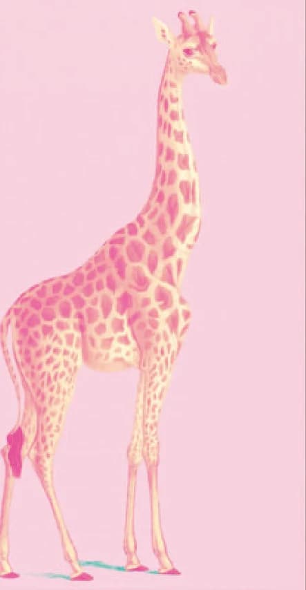 Roze Giraffe