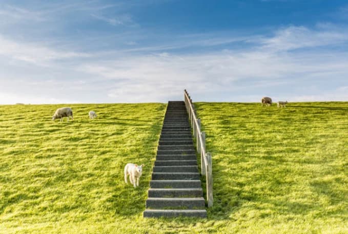 Trap met schapen