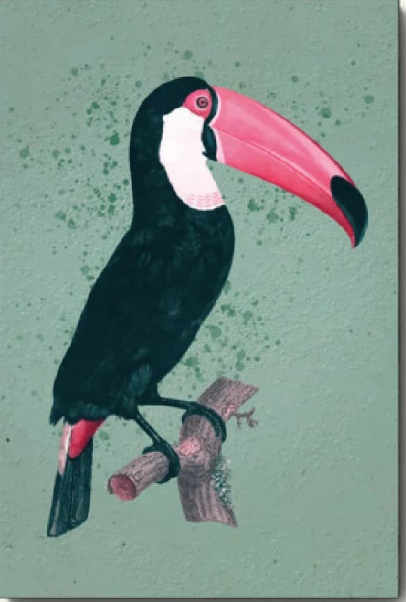 Tucan Aqua