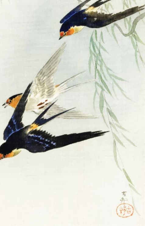Twee vogels in volle vlucht – Ohara Koson