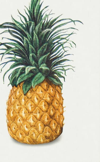 Vintage ananas