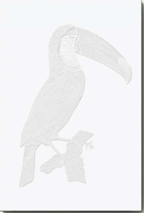 Vintage toco Tucan