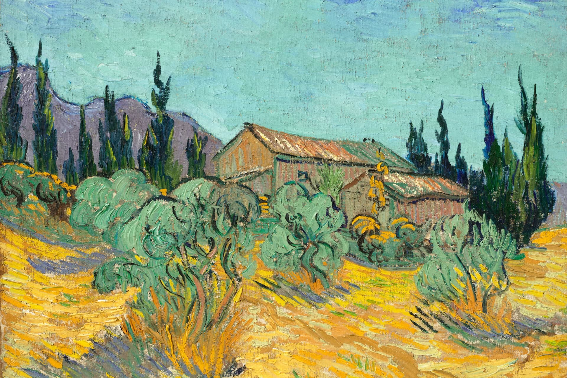 Cabanes de bois parmi les oliviers et cyprès – Vincent van Gogh