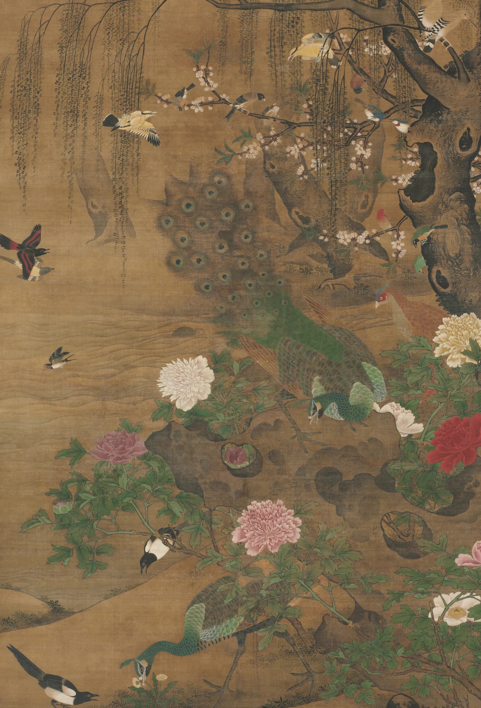 Chinese vogels en bloemen, Yin Hong