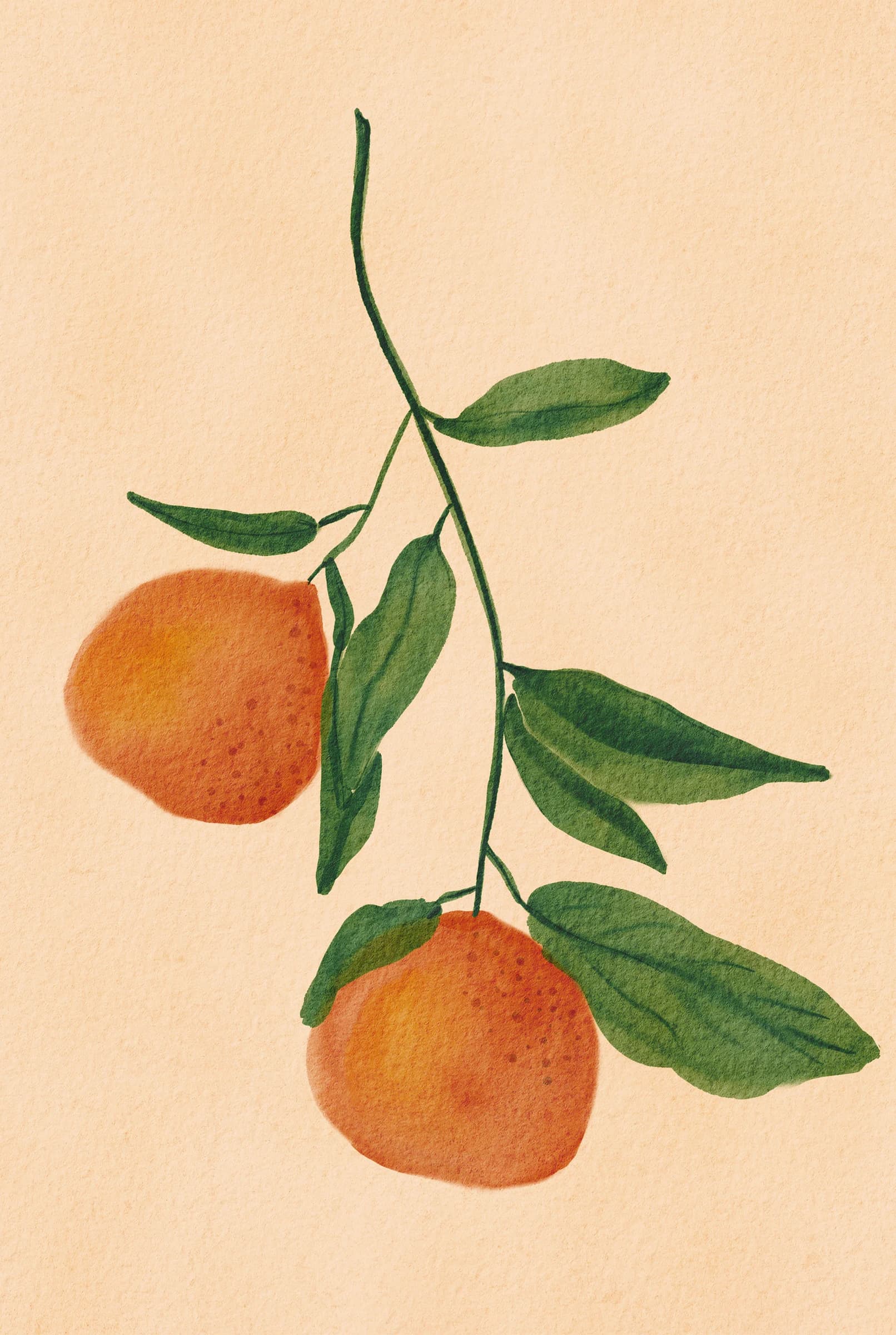 Citrus Vruchtenschoon