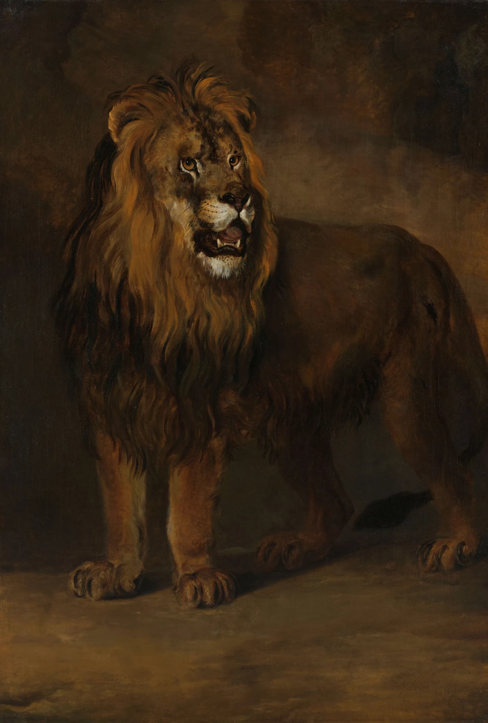 Een leeuw uit de menagerie van koning Lodewijk Napoleon – Pieter Gerardus van Os