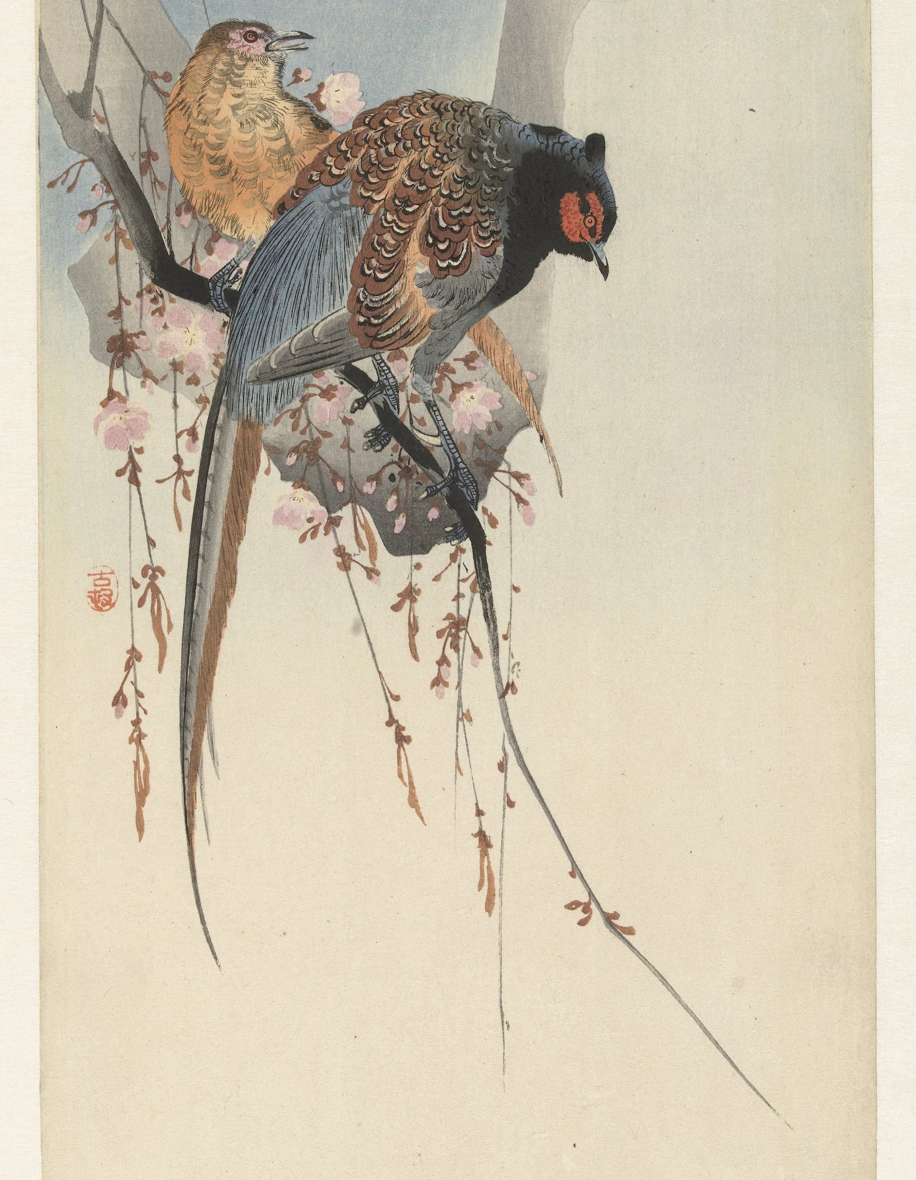 Fazant koppel en bloesem – Ohara Koson