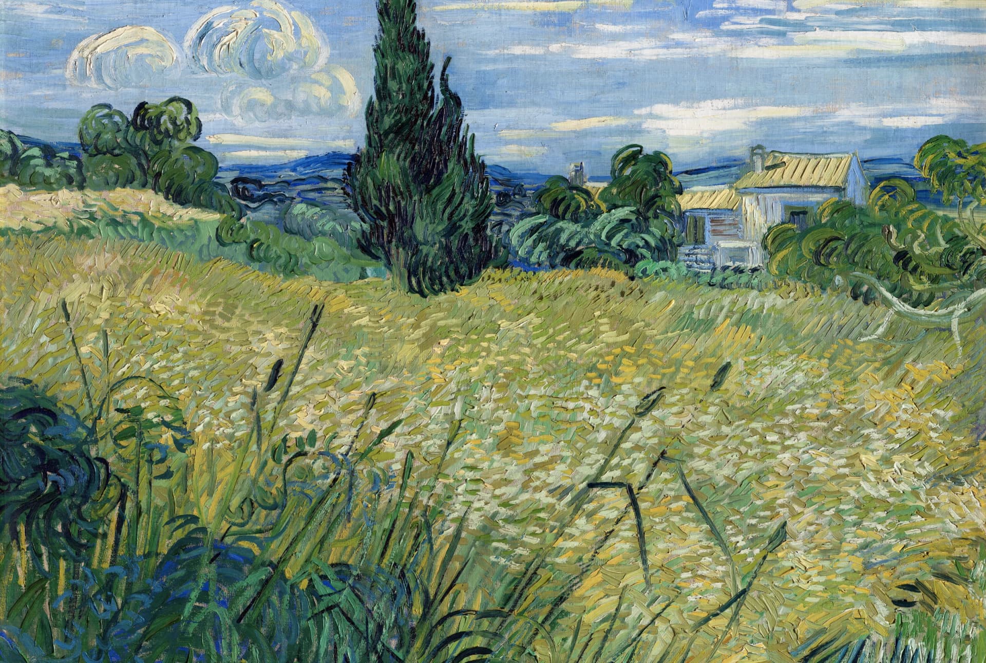 Groene tarweveld met cipres – Vincent van Gogh