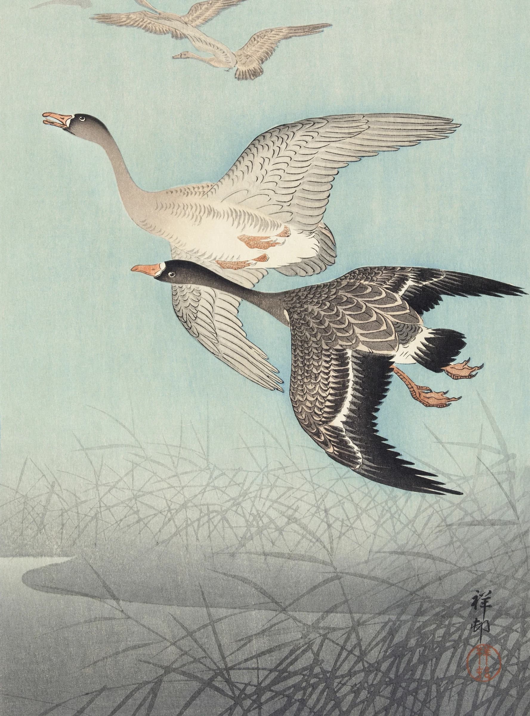 Grote Ganzen in Vlucht – Ohara Koson
