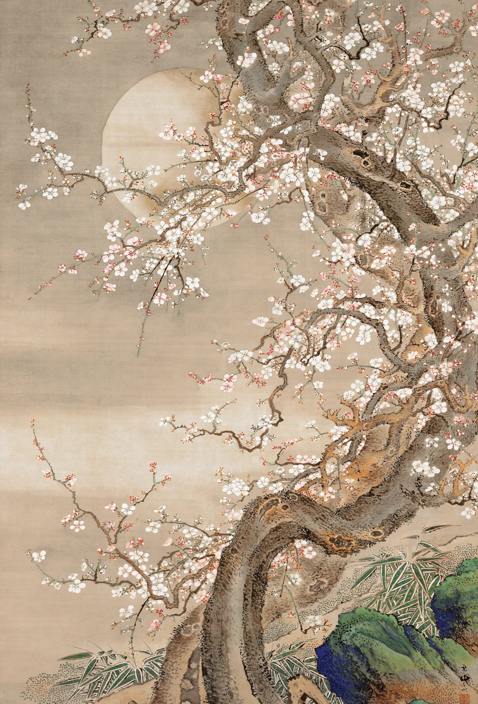 Japanse pruimenbloesem in maanlicht