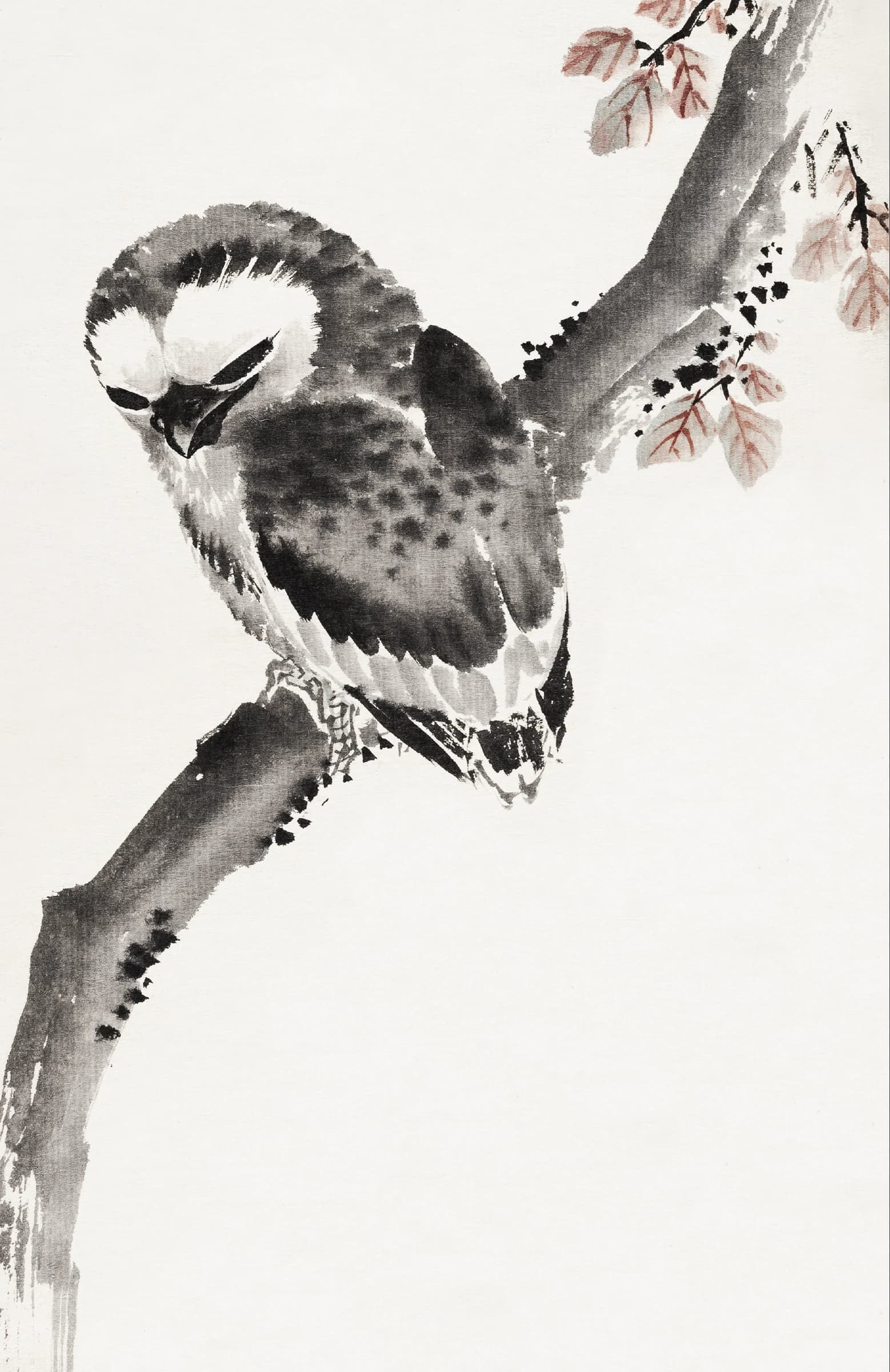 Japanese uil uit Album – Katsushika Hokusai