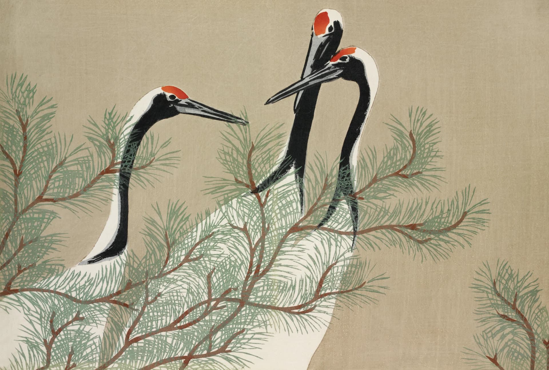 Kraanvogels – Kamisaka Sekka