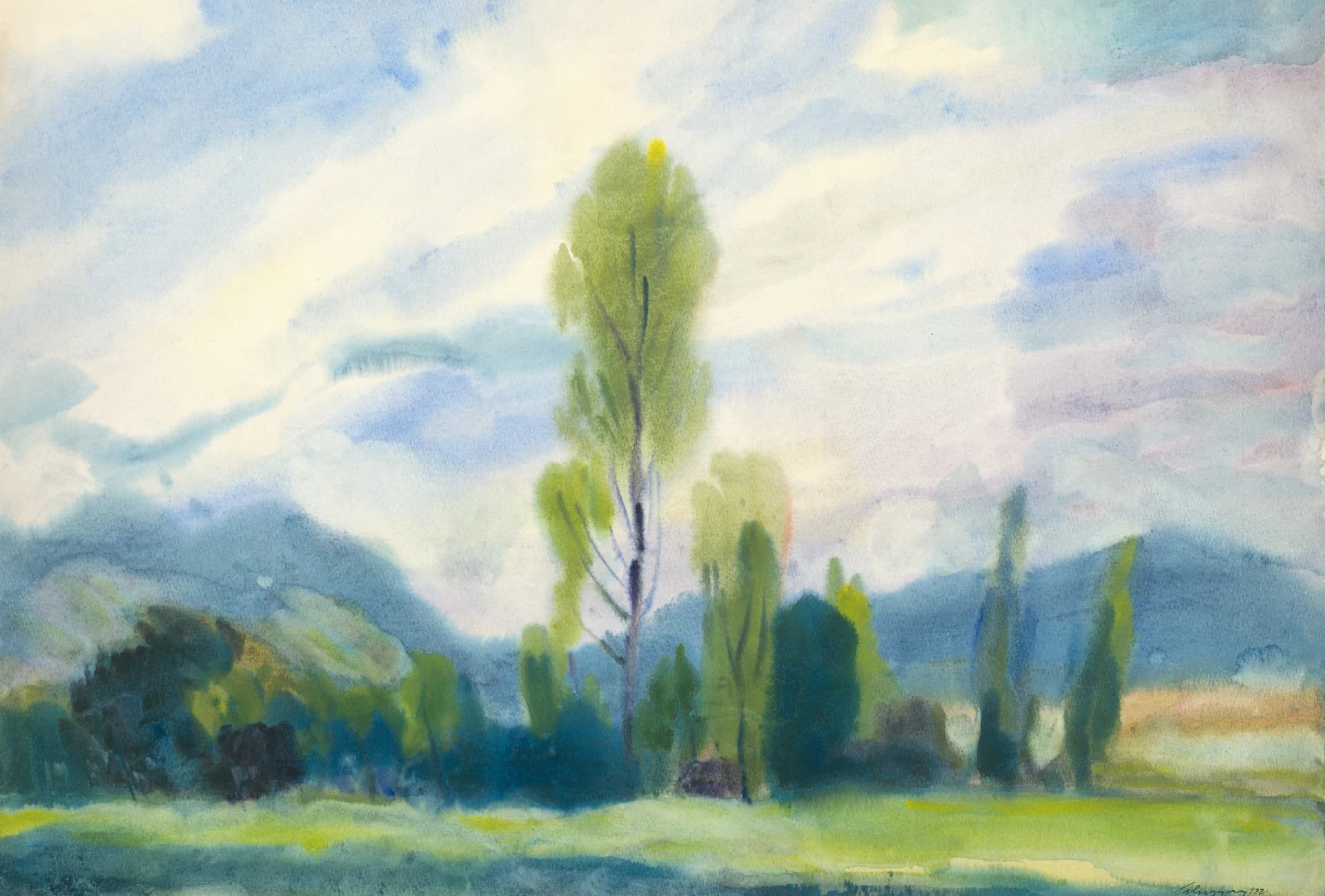 Landschap onder de Lage Tatra