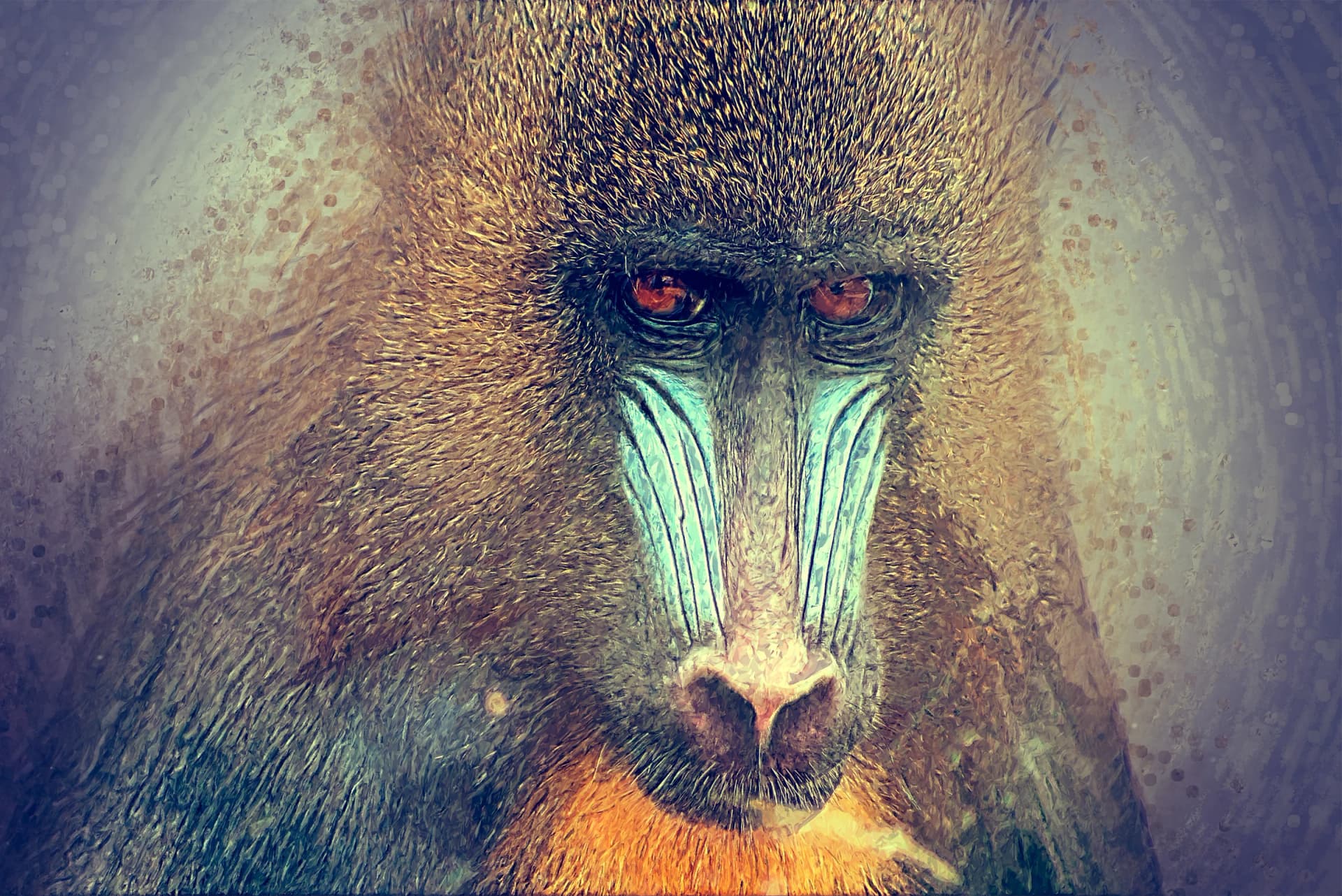 Mandril Aapje