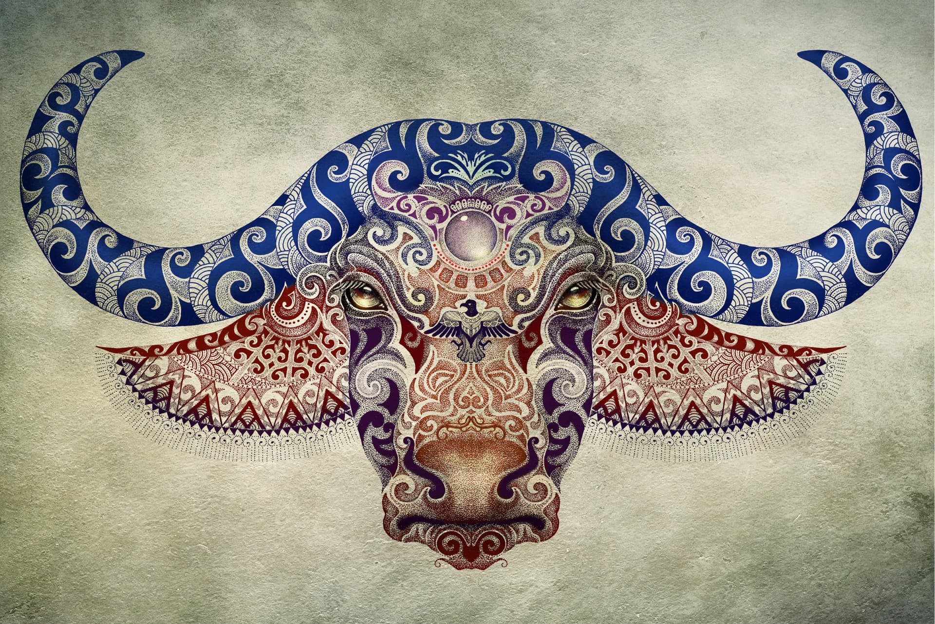 Sierlijke Buffel