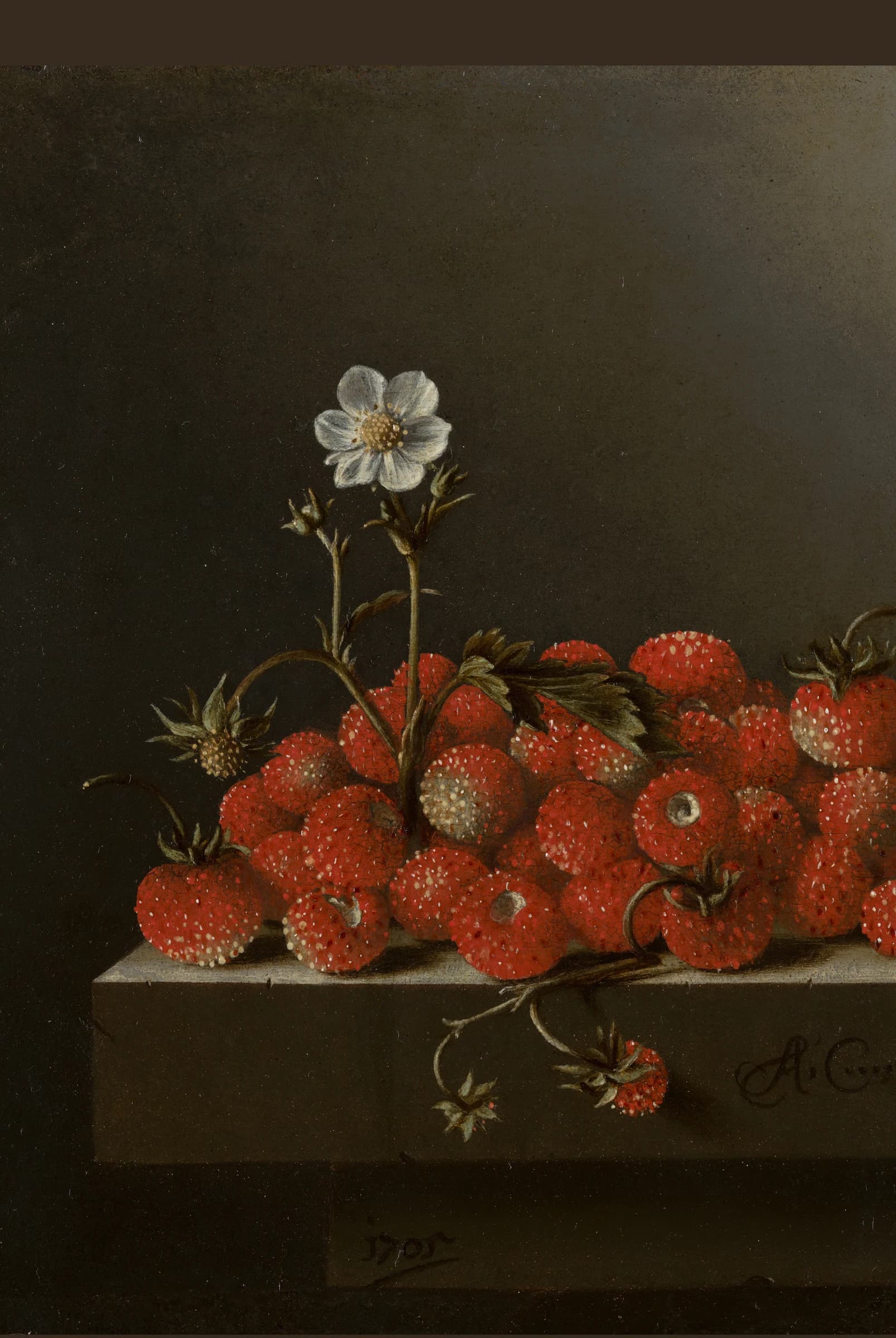 Stilleven met bosaardbeien – Adriaen Coorte