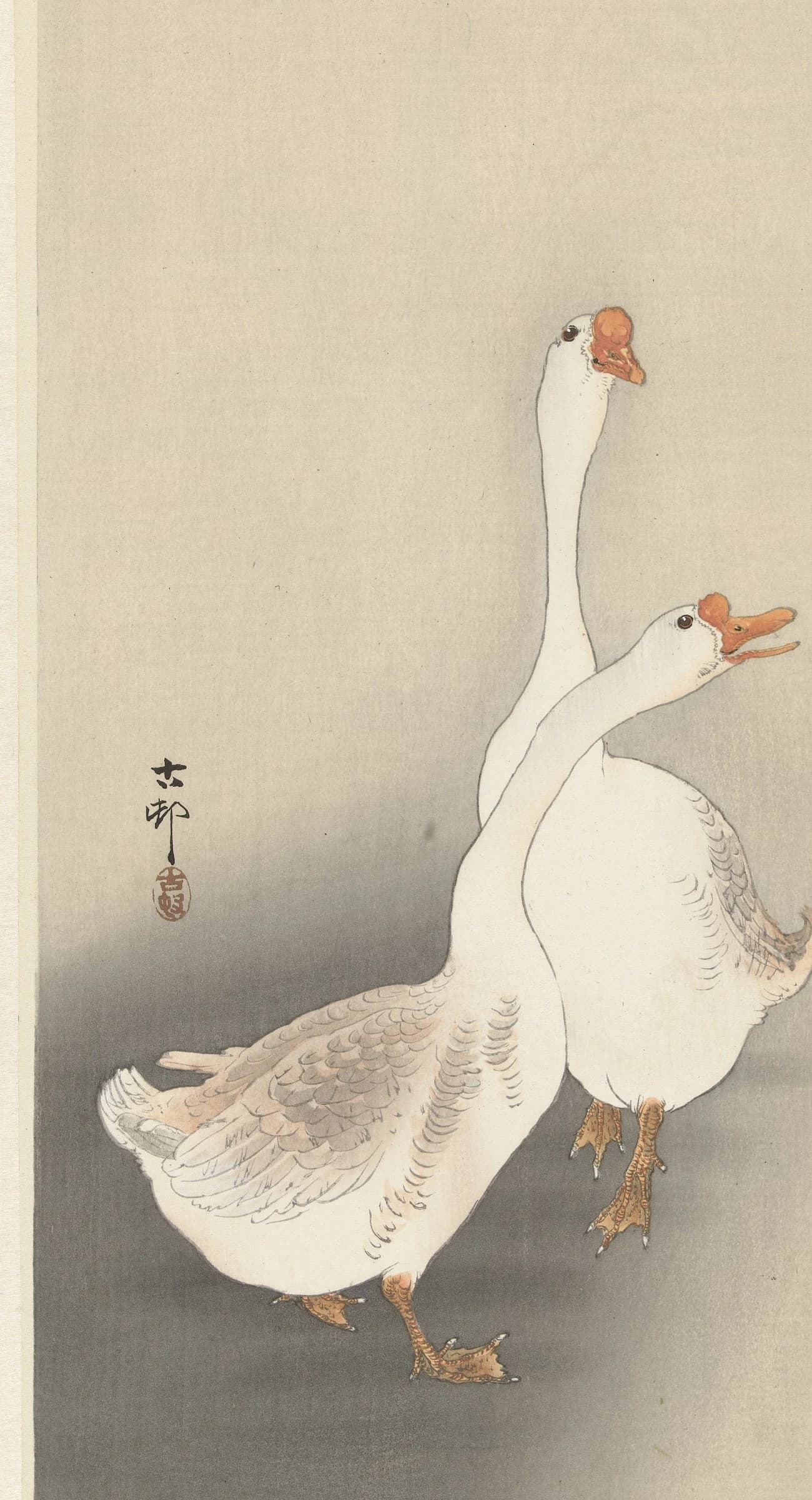 Twee ganzen – Ohara Koson